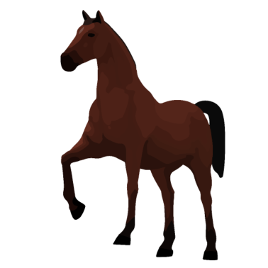 Motiv Pferd