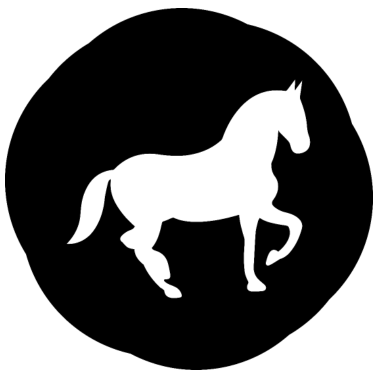 Motiv Pferd