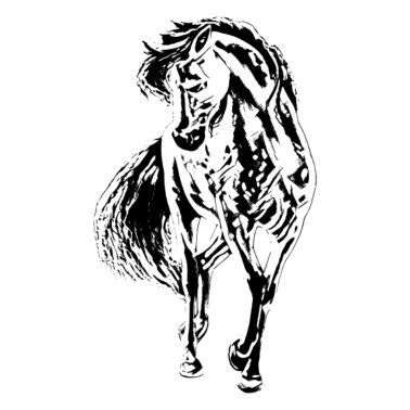Motiv Pferd