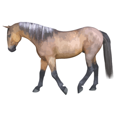Motiv Pferd