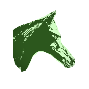 Motiv Pferd