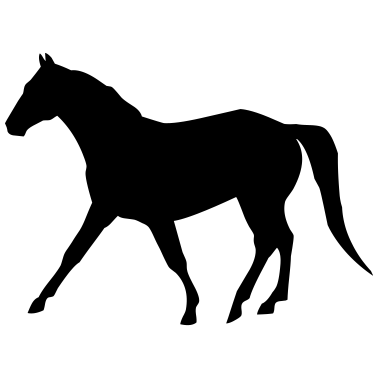 Motiv pferd