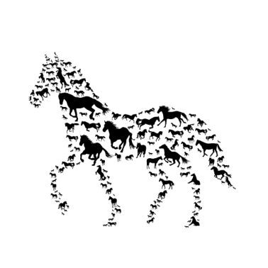 Motiv Pferde Pferde Reiten