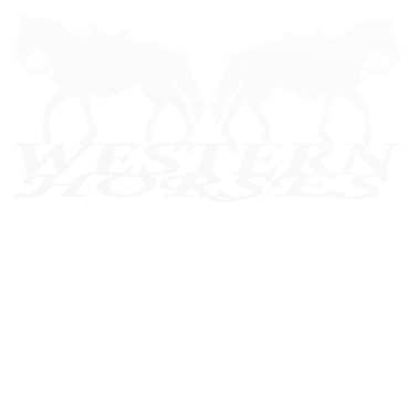 Motiv Pferd Westerbreiten Pferde