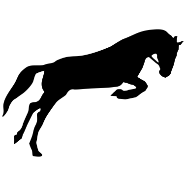 Motiv Pferd