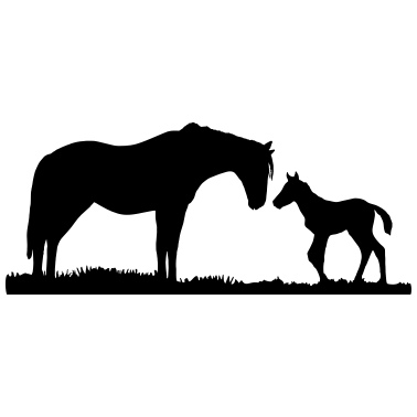 Motiv Pferde, Pferd & Fohlen