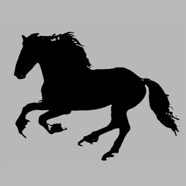 Motiv FRYZYJSKI PFERD - Pferd Pferde