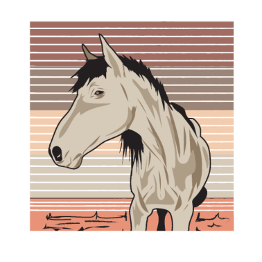 Motiv Pferd Pferde Reiter