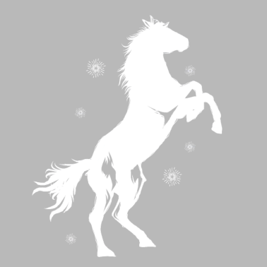 Motiv Pferde Reiten Pferd