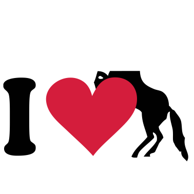 Motiv Pferd - Pferde