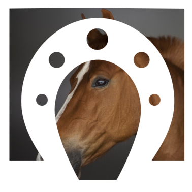 Motiv PFERD Pferde Hufeisen