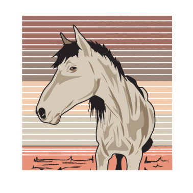 Motiv Pferd Pferde Reiter