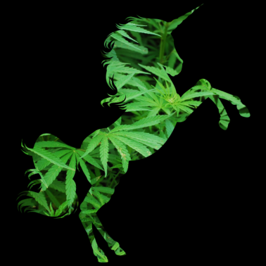 Motiv Weed Einhorn