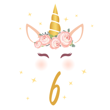 Motiv Geburtstagsshirt 6. Geburtstag Einhorn Geschenk