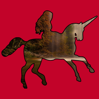 Motiv Das Einhorn- ich kann kein Einhorn haben.