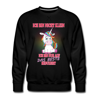 Einhörner Pullover - Ich bin nicht klein Einhorn