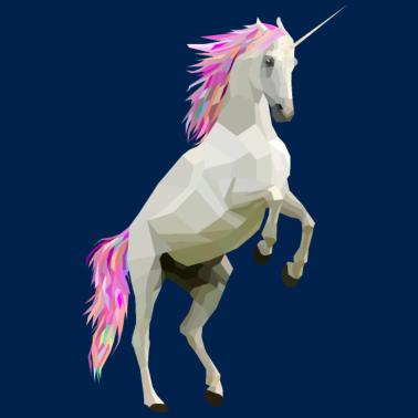 Motiv Einhorn bunt Polygon steigend Pferd Pony