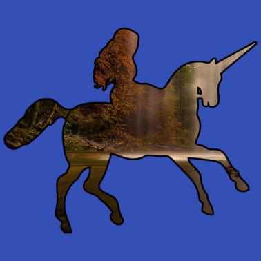 Motiv Das Einhorn- ich kann kein Einhorn haben.