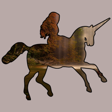 Motiv Das Einhorn- ich kann kein Einhorn haben.