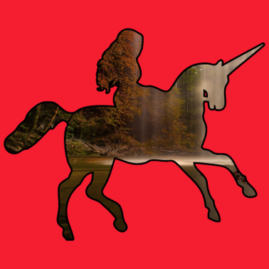 Motiv Das Einhorn- ich kann kein Einhorn haben.