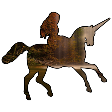 Motiv Das Einhorn- ich kann kein Einhorn haben.