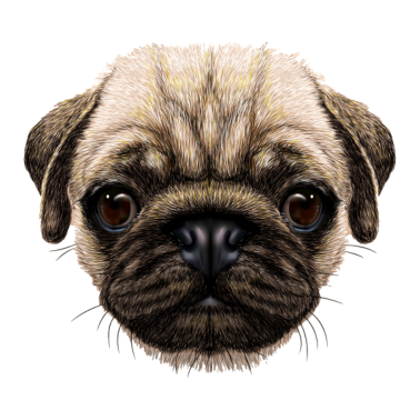 Motiv Hund Hundeliebhaber Mops