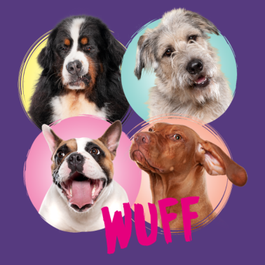 Motiv WUFF Kacheln Hunde