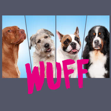 Motiv WUFF Hunde Gruppenbild