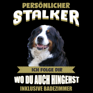 Motiv Berner Sennenhund Hund - Berner Sennenhund