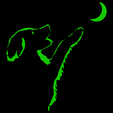 Motiv Hund schaut Mond an