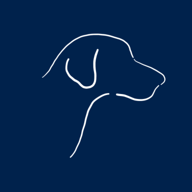 Motiv Minimalistischer Hund (Silhouette)