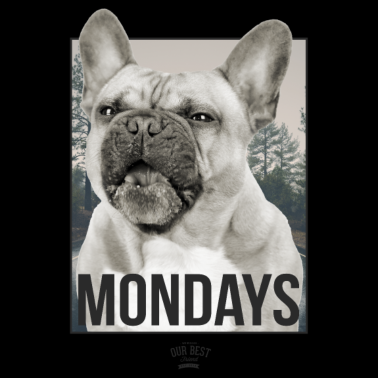 Motiv Monday Dog Face