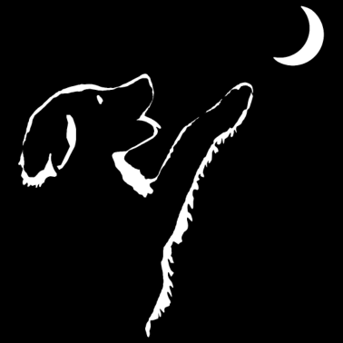 Motiv Hund schaut Mond an