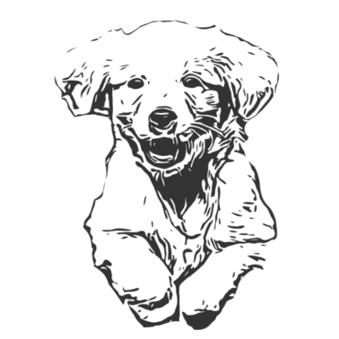 Motiv Tolles Hundedesign für Hunde Freunde Geschenk Dog