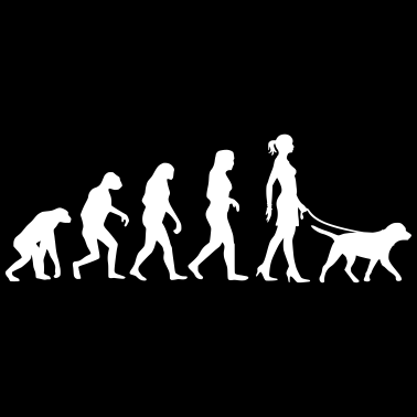 Motiv Evolution - Labrador