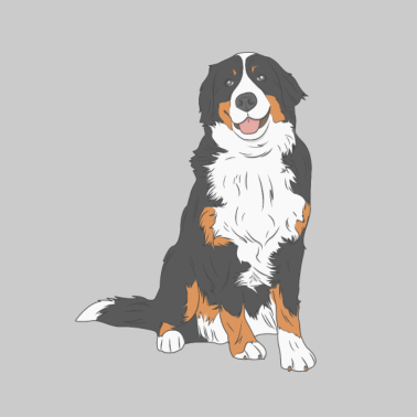 Motiv Hund Berner Sennenhund