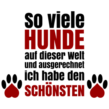 Motiv So viele Hunde und ich habe den Schönsten