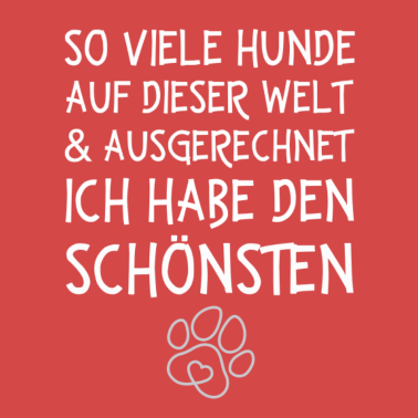 Motiv So viele Hunde auf dieser Welt