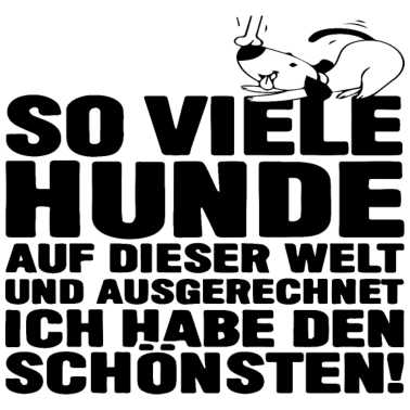 Motiv So viele Hunde auf Dieser Welt und ausgerechnet
