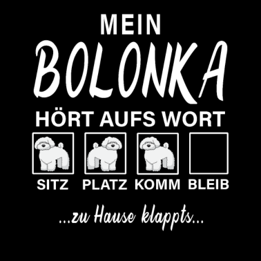 Motiv Mein Hund hört aufs Wort Bolonka Zwetna