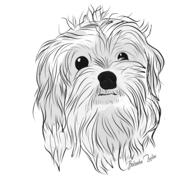 Motiv Bolonka Zwetna