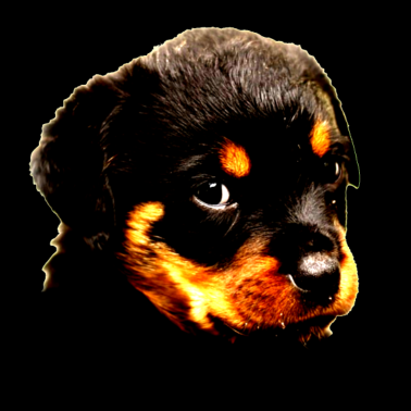 Motiv Rottweiler Welpe, Rotti Hund geschenk Shirt