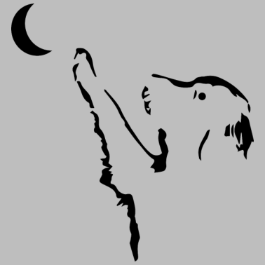 Motiv Hund Hunde Dog