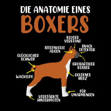 Motiv Anatomie eines Boxers Boxer Hund