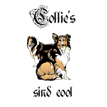 Motiv Collie , Collies sind cool