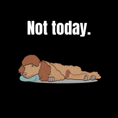 Motiv Pudel faul müde Hund Geschenk