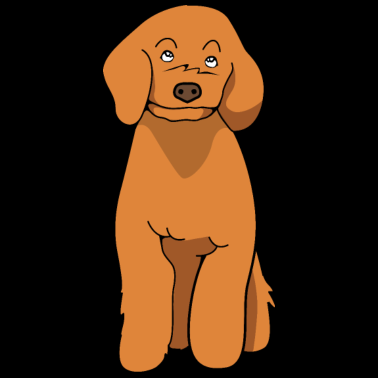 Motiv Pudel Hund Zwergpudel Toy Pudel Kleinpudel Welpe