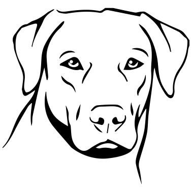 Motiv Hund Labrador