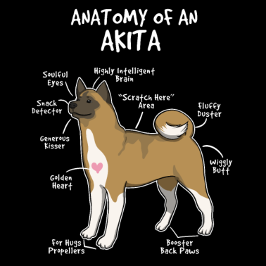 Motiv Anatomie eines lustigen amerikanischen Akita-Hundes von Akita