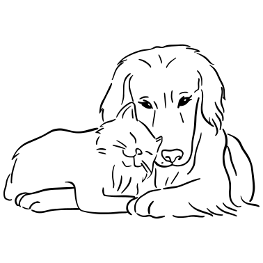 Motiv hund und katze